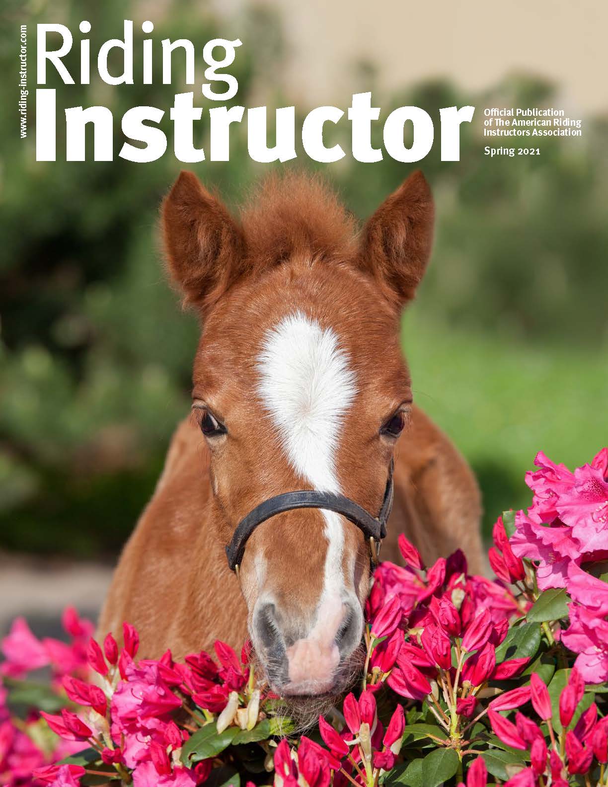 Riding Instructor Magazine Spring 2021