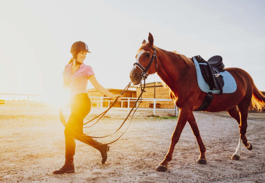 Horseback rider walking with chestnut horse in sunset